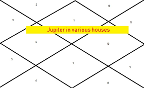 jupiter in 1st 2nd 3rd 4th 5th 6th 7th 8th 9th 10th 11th