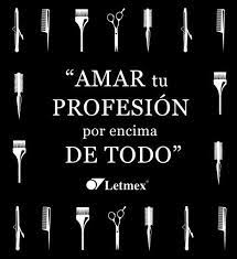 Davi S En Chihuahua Chihuahua Dibujos De Peluqueria Logos De Peluqueria Frases Peluqueria