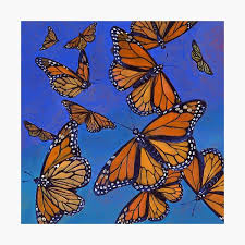 Find and follow posts tagged butterfly aesthetic on tumblr. Blue Monarch Butterfly Wall Art Redbubble