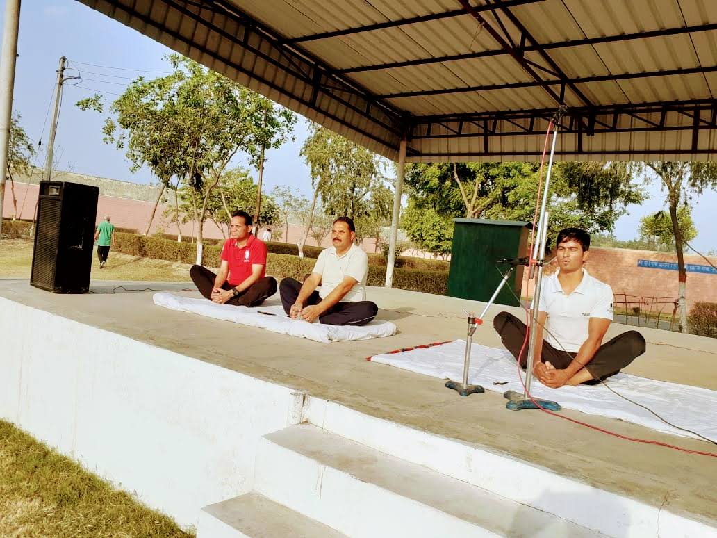 Butter Fly Pose product image