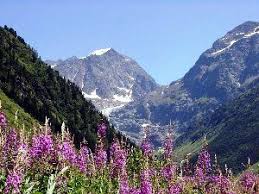 Pitztal Zomer Oostenrijk Zomer Oostenrijk Tirol