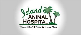 Whatever you and your pets are looking for, our 16 • alan shepard park. Veterinary Milestone Island Animal Hospital Joins 15 Of Veterinary Hospitals By Achieving High Level Of Excellence From Aaha Space Coast Living Magazine