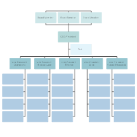 Organizational Chart Templates