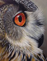 Birds That Start With A P Owl Painting Acrylic Www Jennifernoseworthy Com Http Www Bestlandscapepaintings Com Bird Painting Acrylic Animal Paintings Animal Art