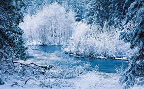 Check spelling or type a new query. Snow Nature Rivers Trees Forest Winter Winterlandschaft Landschafts Tapete Landschaftsbau