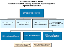 Organizational Structure