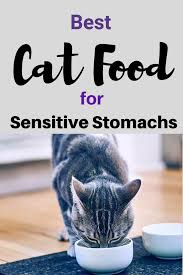 Tips And Suggestions For Cats With Sensitive Stomachs Best Cat Food Sensitive Stomach Cat Food Cat Food