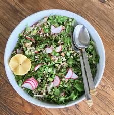 Image result for Faroa salutaris