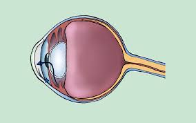 Find patient medical information for focalin oral on webmd including its uses, side effects and safety, interactions, pictures, warnings and user ratings. Glaucoma Causas Sintomas E Tipos Revista Prevenir