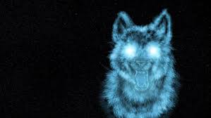 Librivox is a hope, an experiment, and a question: Cool Neon Wolf Wallpapers Top Free Cool Neon Wolf Backgrounds Wallpaperaccess