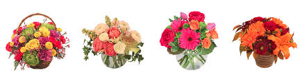 Area has many beautiful public gardens with a wide variety of plants, trees, and flowers. The 12 Best Options For Flower Delivery In Washington D C 2021
