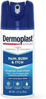 Amazon Com Dermoplast Pain Burn Itch Spray Pain Relief Spray For Minor Cuts Burns And Bug Bites 2 75 Oz Packaging May Vary Health Personal Care