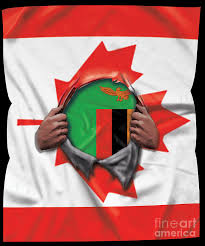 Check spelling or type a new query. Zambia Flag Canadian Flag Ripped Digital Art By Jose O