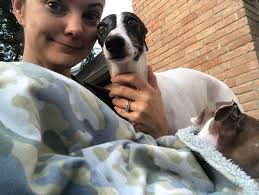 Italian Greyhound Rescue Foundation Texas and Oklahoma