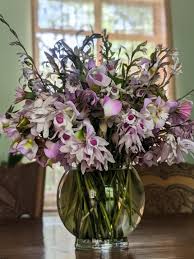 Image result for Eulophia cucullata