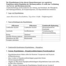 I describe the components of. Hypothalamus Hypophysen Achse Doccheck Flexikon