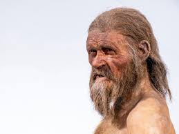 Ötzi the Iceman Gets a New Look from Genetic Analysis | Scientific American