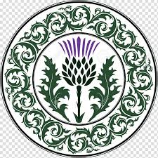 National symbols of Scotland Thistle , Lallybroch transparent background  PNG clipart | HiClipart