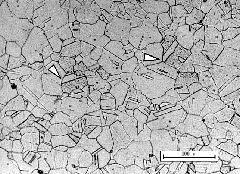 Image result for steel micrograph