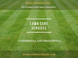 1740 salt road, fairport, ny 14450. 13 Lawn Care Services Ideas In 2021 Lawn Care Lawn Lawn Maintenance