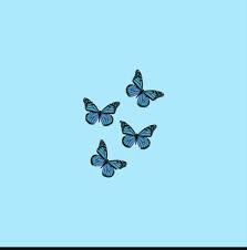 Now there are 93 million. Butterfly Aesthetic Wallpaper Nawpic