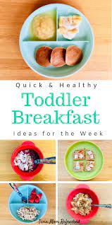 Easy No Cook Toddler Breakfast Ideas Breakfast For Kids Healthy Toddler Meals Toddler Breakfast