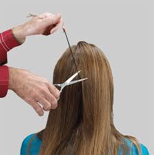 Ways On How To Pass A Hair Follicle Drug Test Hair Follicle Drug Test Hair Follicle Hair