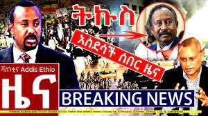 We did not find results for: Dw Amharic Daily Ethiopian News Today March 10 2020 Youtube