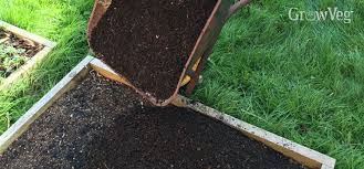 Example sentences with the word sawdust. Free Mulch How To Make It And Where To Get More