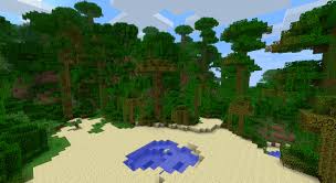 The tropical rainforests have more kinds of trees than any other biome in the world. Tropical Rainforest Biomes Of Planet Earth