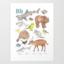 Animals Beginning With The Letter B Animal Alphabet Print From Society6 This Is A Gallery Quality Animal Alphabet Wildlife Prints Personalized Nursery Art