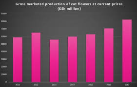 Types of cut flowers grown in kenya for export. Kenya Cut Flower Exports On The Rise