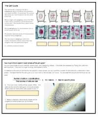 Meiosis vs mitosis comparison chart donatebooks co. Investigation Mitosis Remote