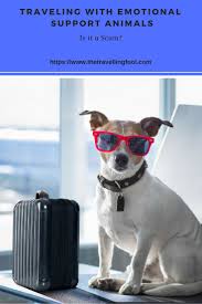 Pin On Read It On The Traveling Fool Blog