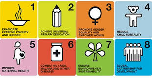 what are the sustainable development goals world economic