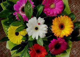 Birds, butterflies, dinosaur, dog, fish, flower. Very Beautiful Bouquet Of Flowers Of Different Colors Stock Photo Picture And Royalty Free Image Image 95556237