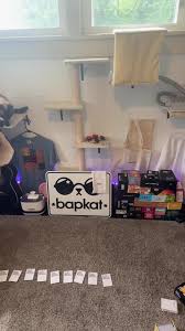 Really Noelle? Divorce papers... #cat #cameos #bap #fyp #fanvideos