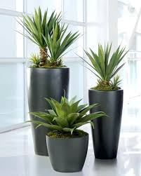 Ceramic Pots For Indoor Plants Online India Pots For Large Indoor Plants Ceramic Pots For Indoor Plants Best 2 Artificial Succulent Plants Plants Indoor Plants