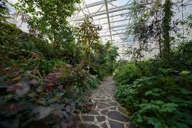 Výjimečná sbírka využívá dokonale upraveného prostředí a nabídne vám i zajímavou inspiraci. Sklenik Tropicana Botanicka Zahrada Teplice