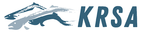 Krsa