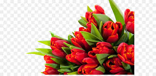 Tons of awesome valorant wallpapers to download for free. Blumenstrauss Wallpaper Herunterladen Bouquet Blumen Png Png Herunterladen 4000 2662 Kostenlos Transparent Anlage Png Herunterladen