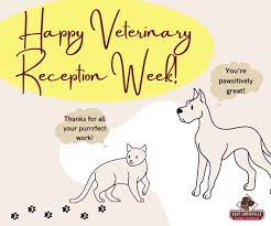 1,467 likes · 14 talking about this · 580 were here. East Louisville Animal Hospital Home Facebook