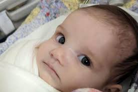 Fundraiser for David Mott by Laurell Winkler : Medical and funeral costs  for baby Wren