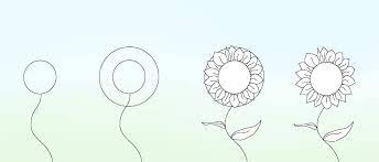 The first step to draw lotus flowers is to begin with a teardrop, as shown in the picture. 8 Tips To Create Simple Flower Drawings For Beginners Jae Johns