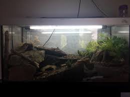 Any Suggested Improvements To My Leopard Gecko Viv Vivarium