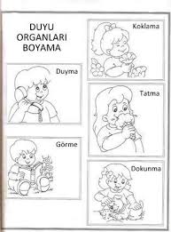 Kesyapistir Duyuorganlari Boyamasayfalari Okuloncesifaaliyet Boyama Sayfalari 5 Duyu Okuloncesi Faaliyetler