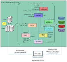 Whether you need something to fit into a dorm room or want an upscale living quarter we have a high quality product that will suit your needs. Ngscloud2 Optimized Bioinformatic Analysis Using Amazon Web Services Peerj