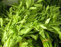 Image result for Oenanthe