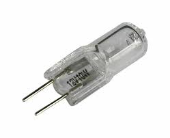 Paradise Garden Lighting Gu4 Halogen Edison Capsule Light Bulb Wayfair