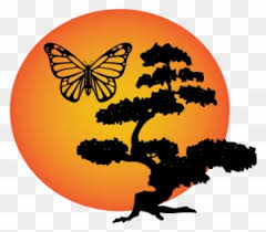 Miyagi svg, cobra kai svg, karate kid svg_15454834 larkookshop Karate Kid Bonsai Logo 2 By Laura Karate Kid Bonsai Logo Free Transparent Png Clipart Images Download